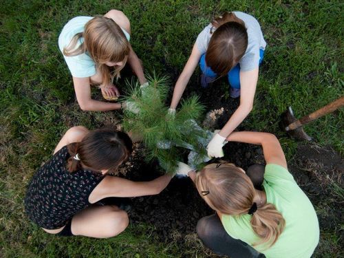 7 ачинских школ стали участниками всероссийской экологической акции